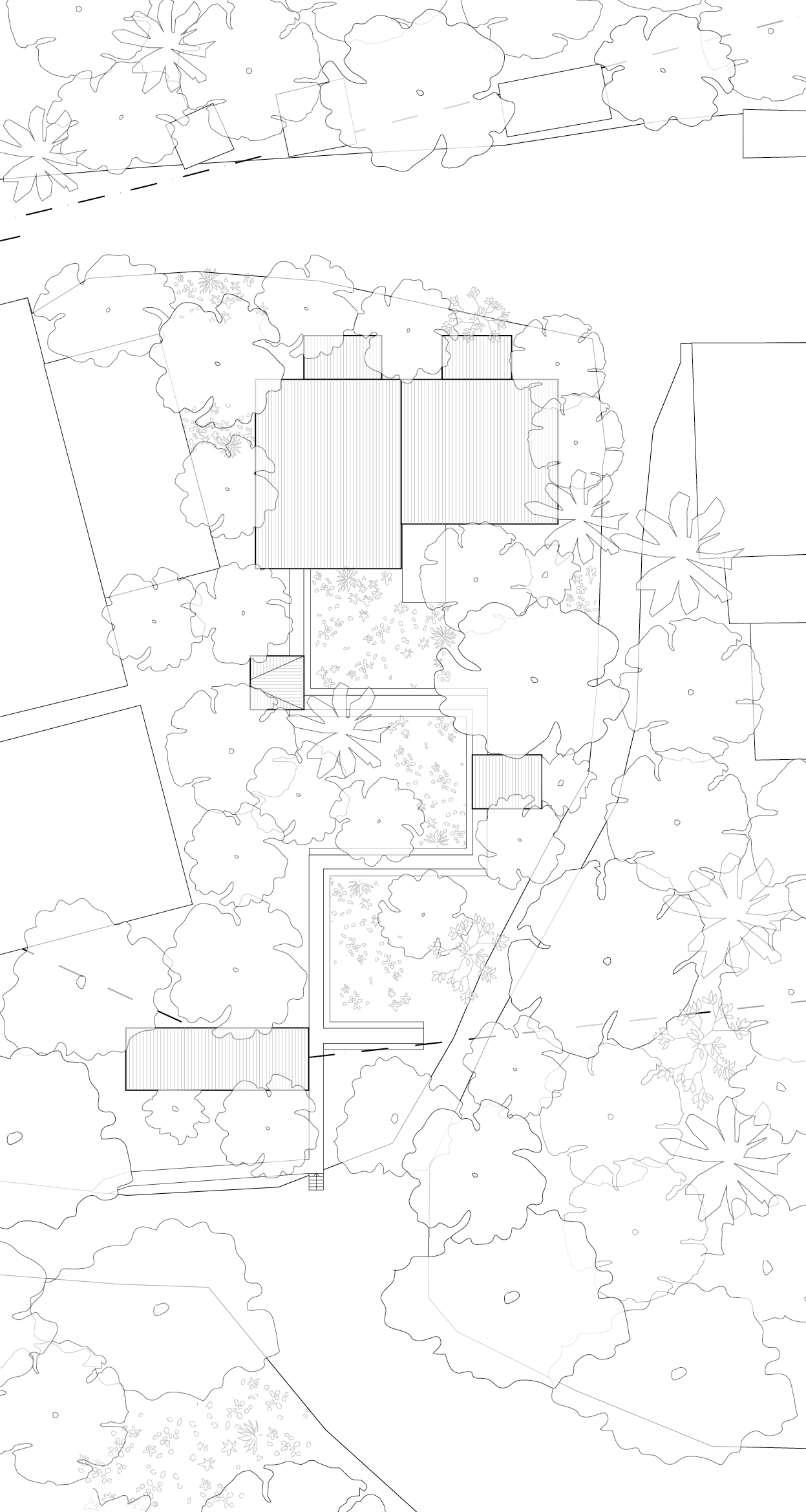 Pisonia Pavilion_Site Plan